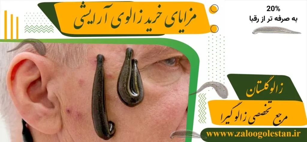 خرید زالوی آرایشی