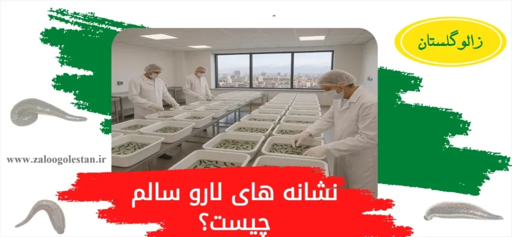 خرید لارو زالو