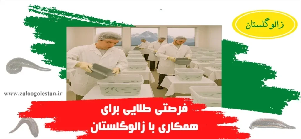 همکاری با زالوگلستان