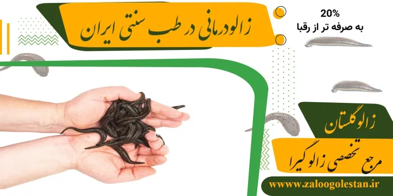 تاریخچه زالو درمانی